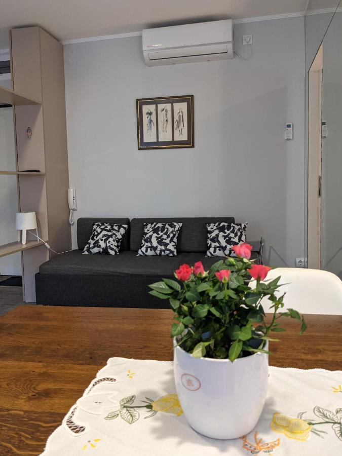 Appartamento Danka Belgrado Esterno foto